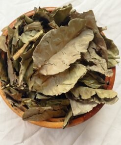 FEUILLES D,YSOPE SÉCHÉ