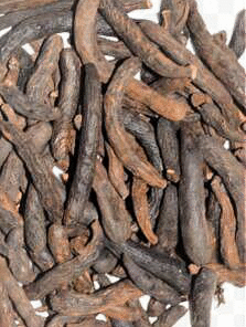 INFUSION DE POIVRE LONG