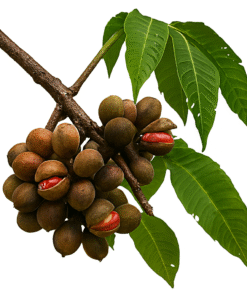 BEURRE VÉGÉTAL KOMBO