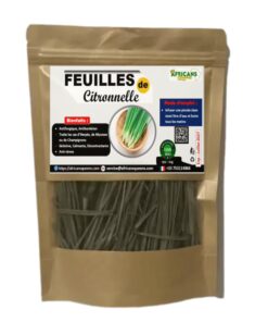 FEUILLES DE CITRONNELLE