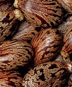HUILE DE RICIN
