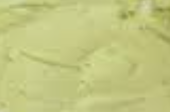 BEURRE D'AVOCAT